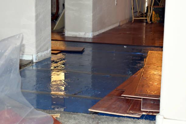 Professional Water Damage Restoration technician working in Glen Dale, WV